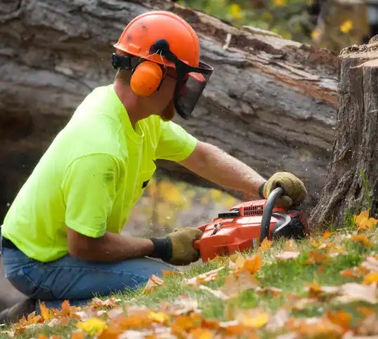 tree services South Huntington